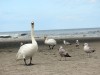 O 2013_Gdansk 15